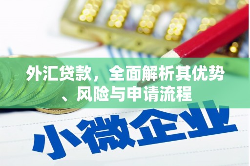 太仓外汇贷款，全面解析其优势、风险与申请流程