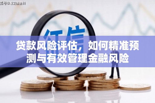 太仓贷款风险评估，如何精准预测与有效管理金融风险