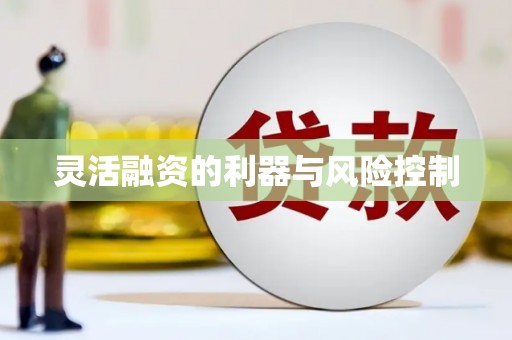 太仓灵活融资的利器与风险控制