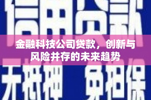 太仓金融科技公司贷款，创新与风险并存的未来趋势