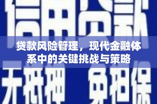太仓贷款风险管理，现代金融体系中的关键挑战与策略