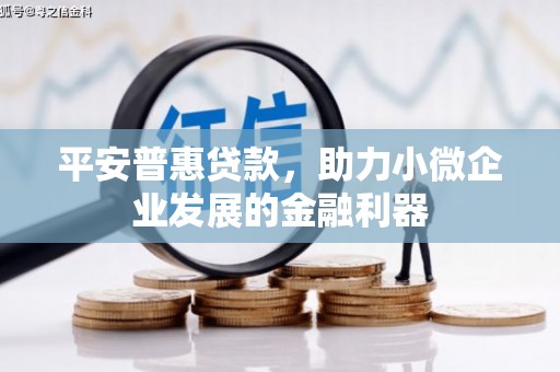 太仓平安普惠贷款，助力小微企业发展的金融利器