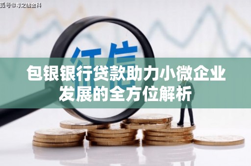太仓包银银行贷款助力小微企业发展的全方位解析