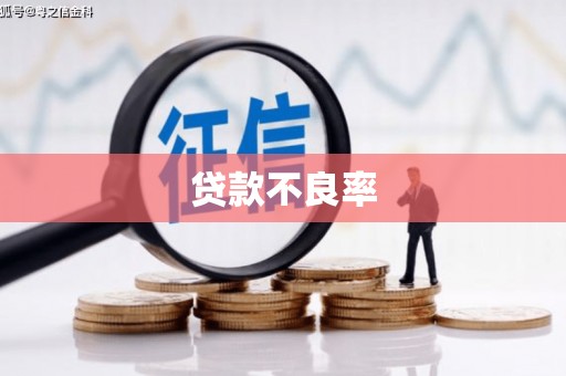 太仓贷款不良率