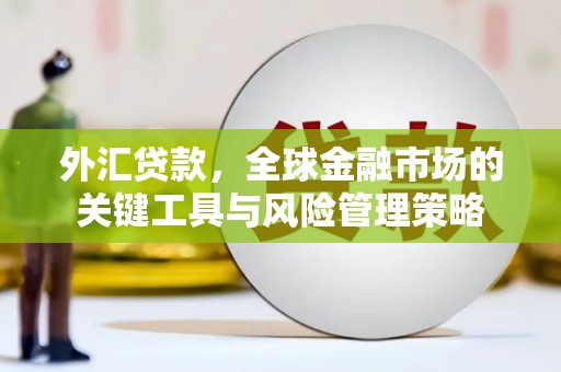 太仓外汇贷款，全球金融市场的关键工具与风险管理策略