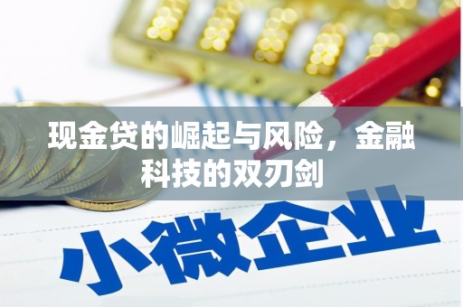 太仓现金贷的崛起与风险，金融科技的双刃剑