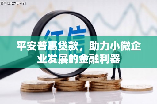 太仓平安普惠贷款，助力小微企业发展的金融利器