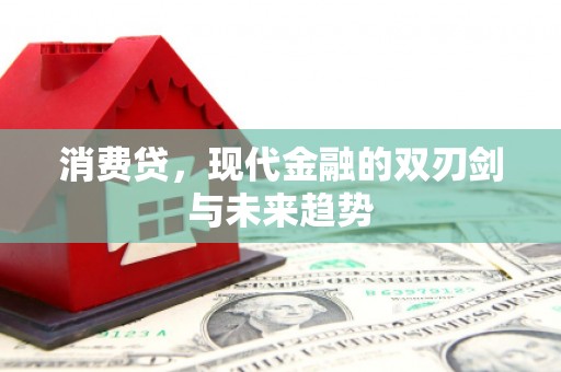 太仓消费贷，现代金融的双刃剑与未来趋势