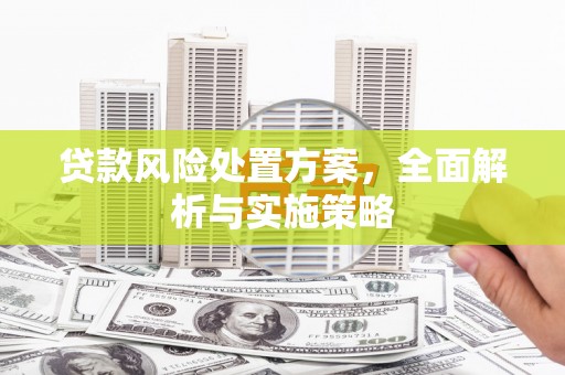 太仓贷款风险处置方案，全面解析与实施策略